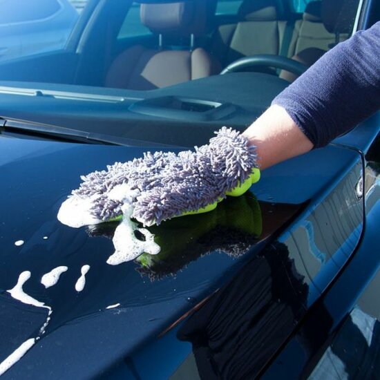 AutoStyle Washandschoen insecten verwijderen